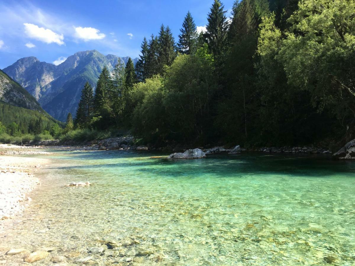 Hisa Patricija Daire Soča Dış mekan fotoğraf