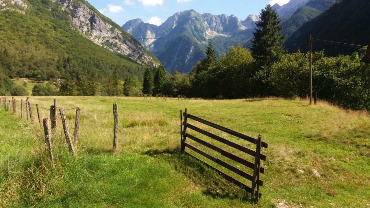 Hisa Patricija Daire Soča Dış mekan fotoğraf