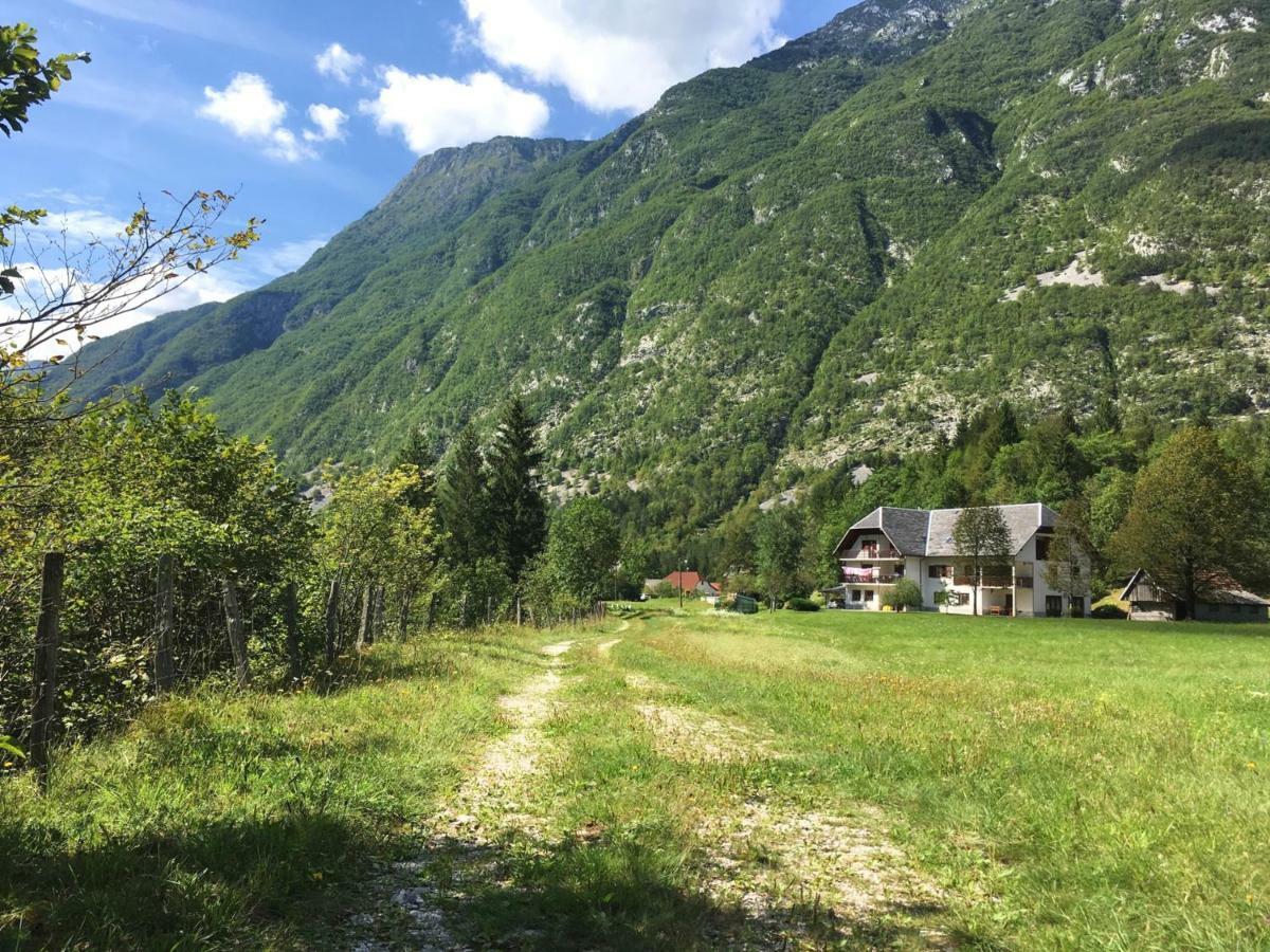 Hisa Patricija Daire Soča Dış mekan fotoğraf